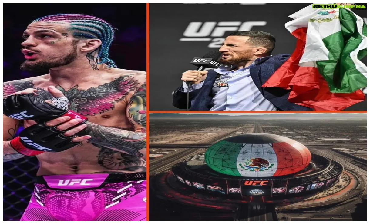 Wiki, biography, age, gallery, spouse and more