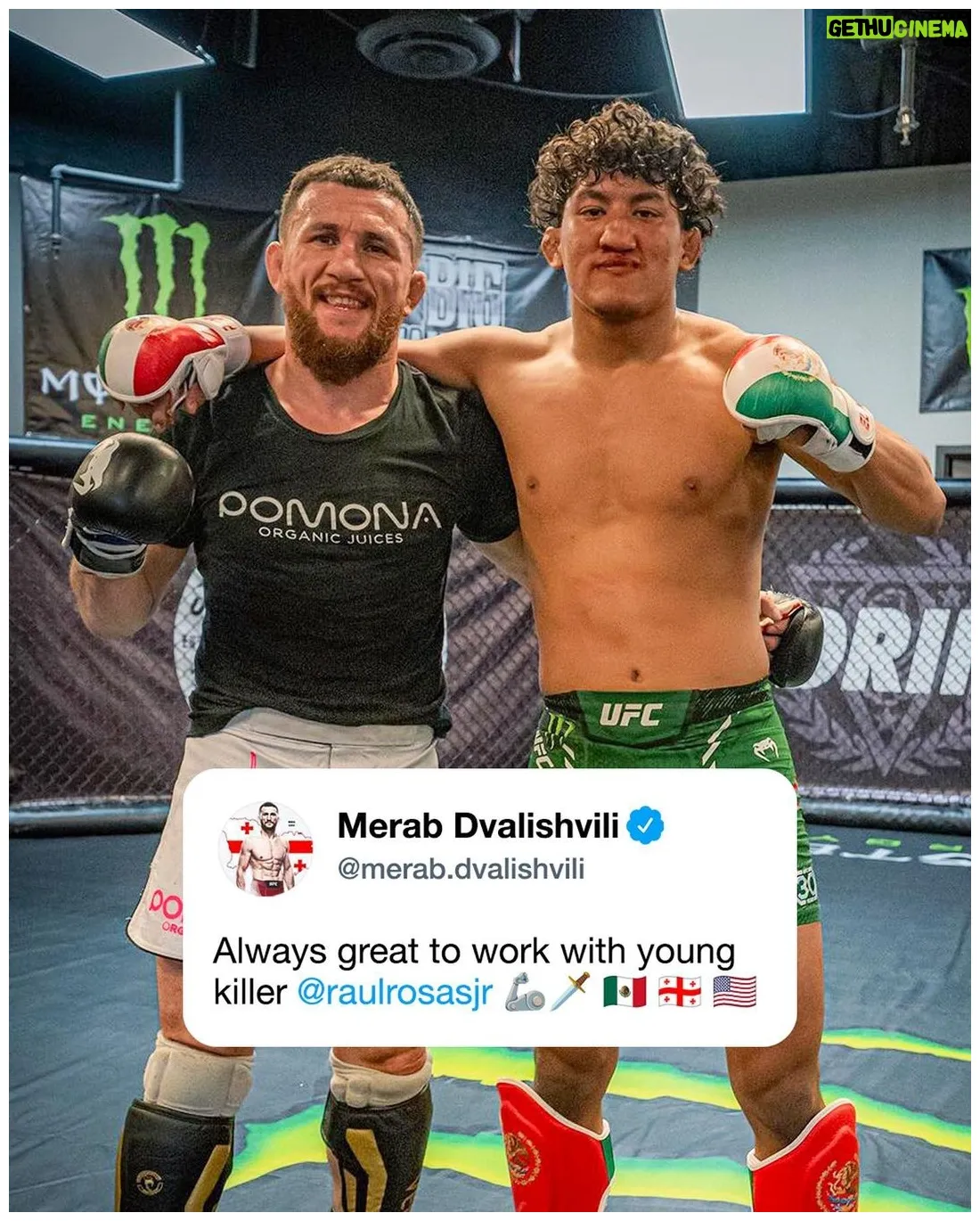 Wiki, biography, age, gallery, spouse and more