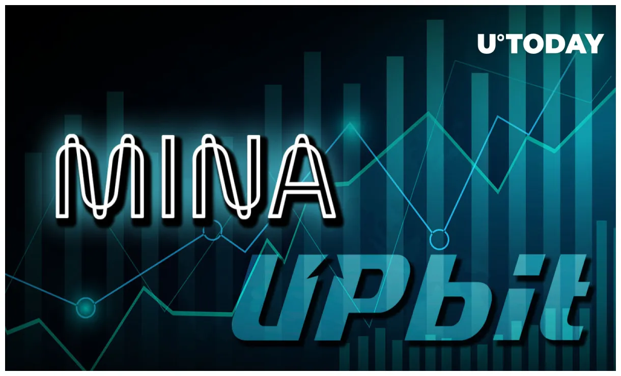 Mina price fluctuation graph today live update 2025