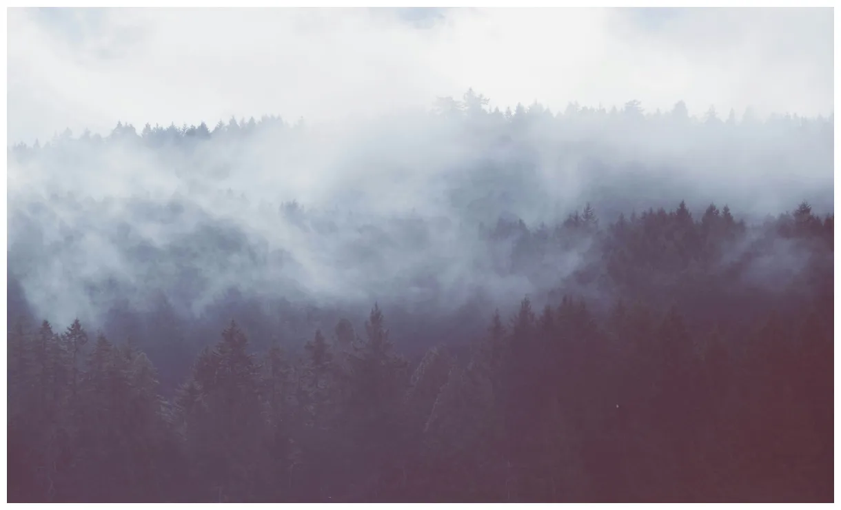 15+ best jokes worst jokes ever