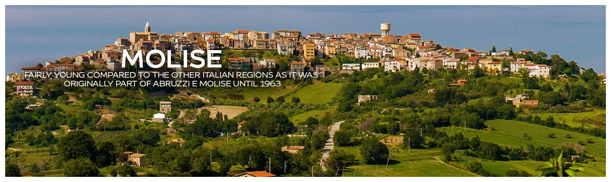 Italian regions italyabroad