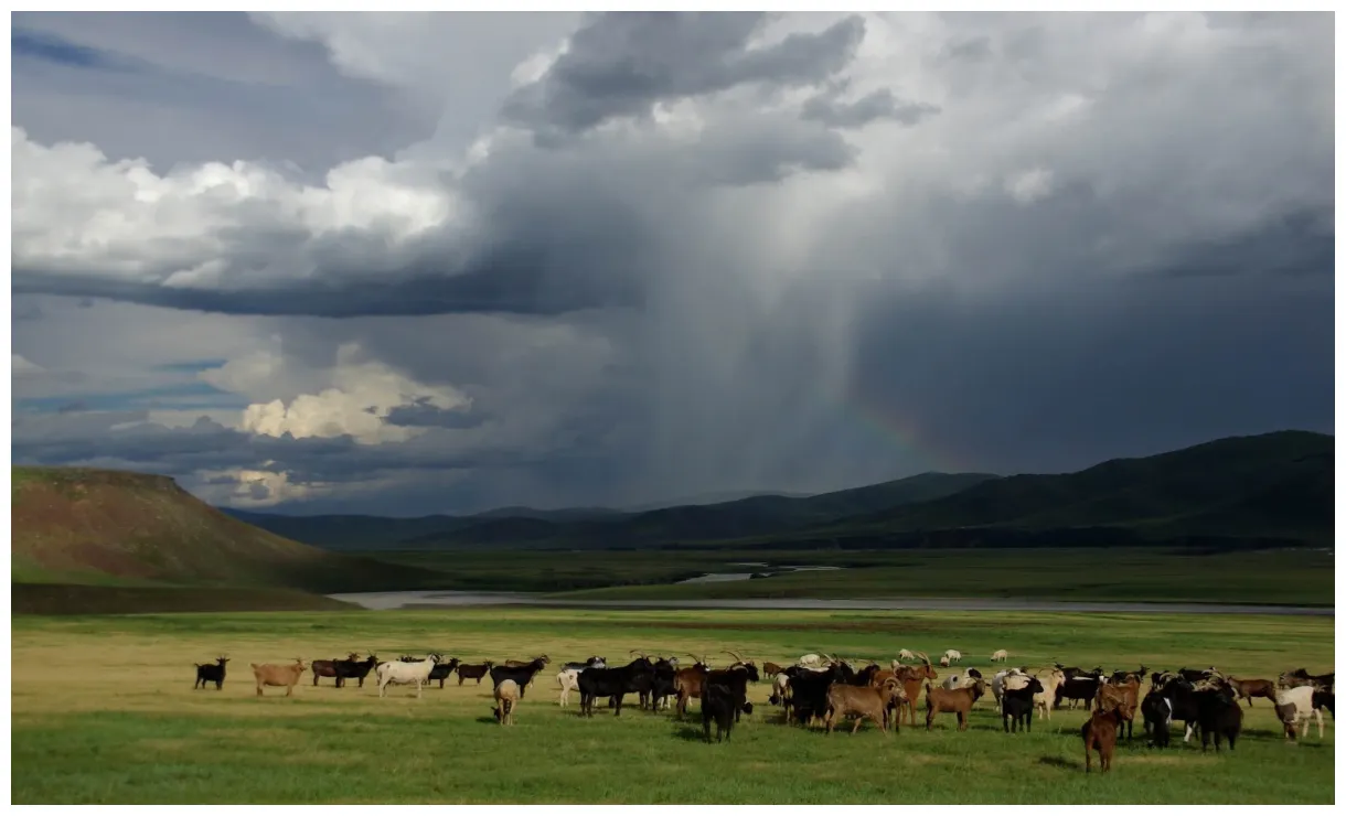 Asien- — georges oettli stiftung