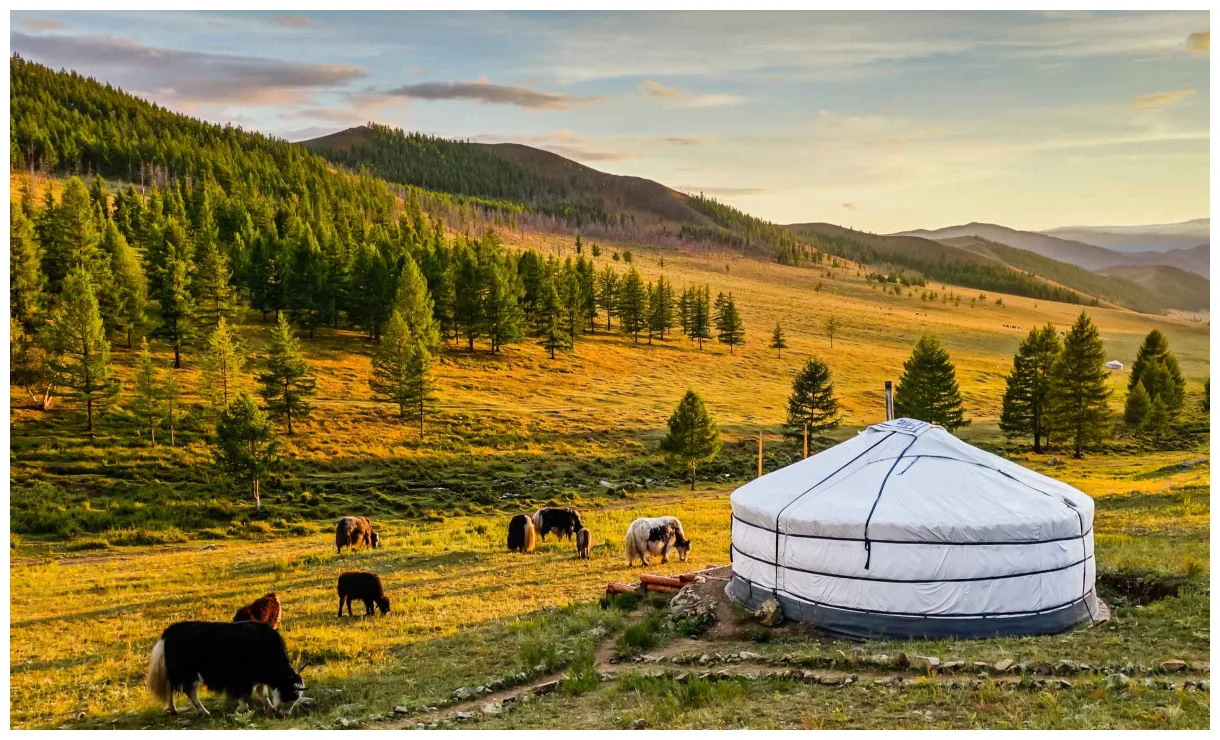 The best tours and things to do in 2022 free cancellation