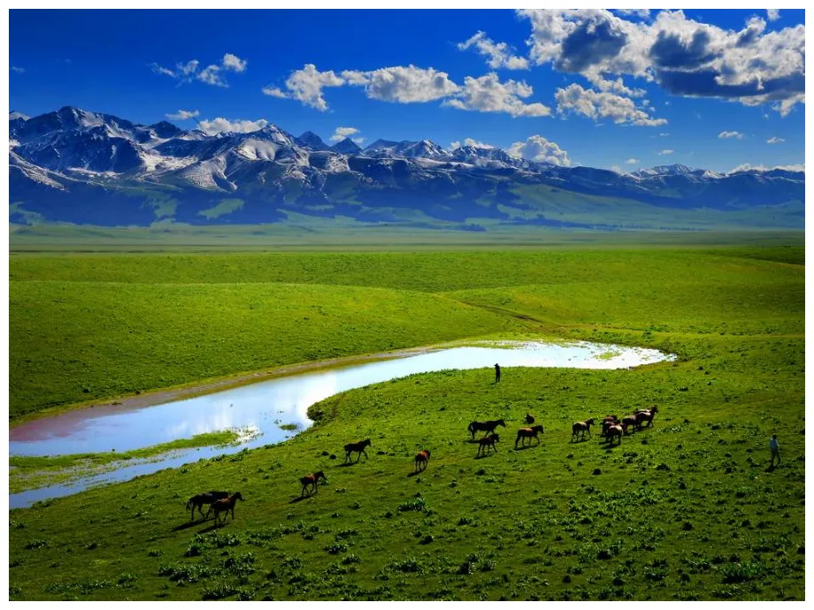 S holidays sunsurfer