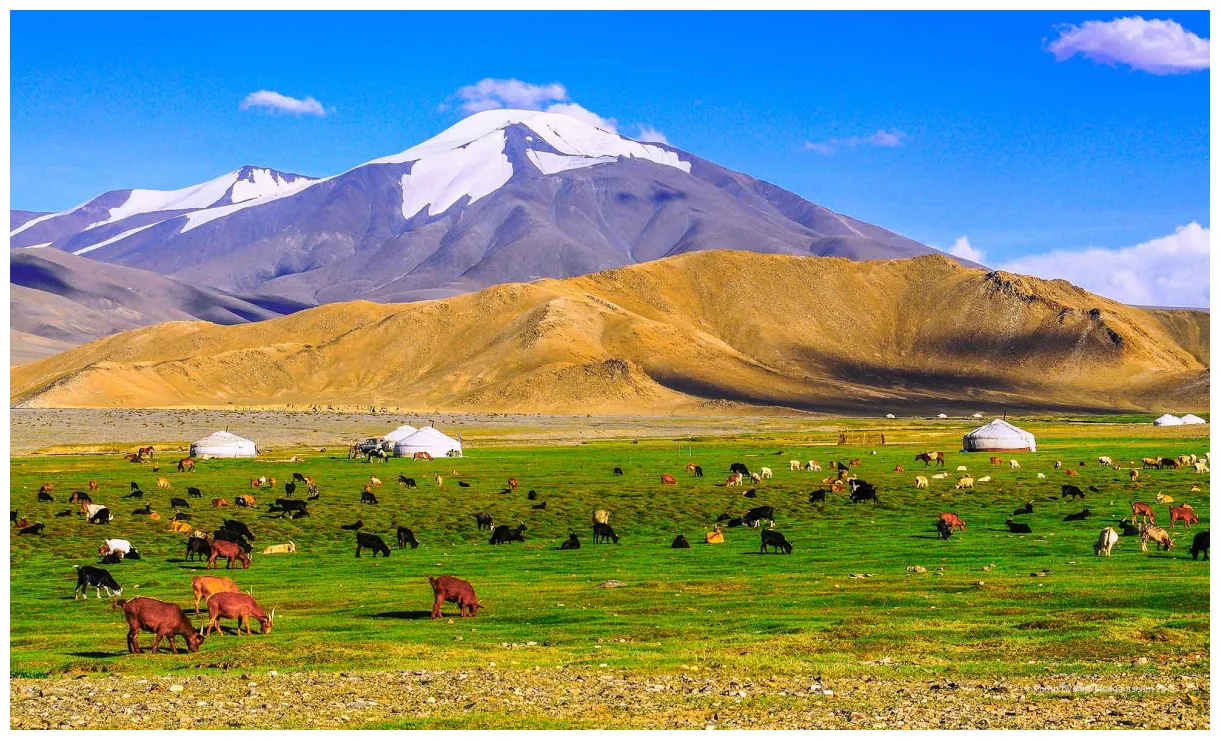 True travel when to visit the best time to visit