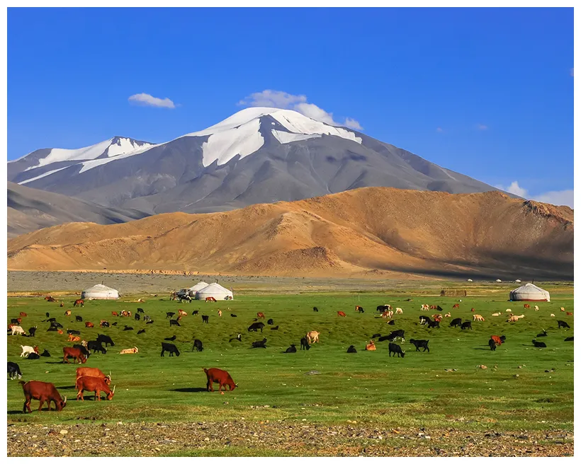 Amazing landscape graphy of