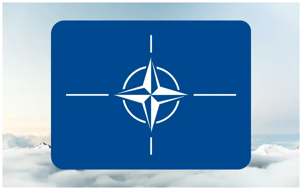 Wat is de ? wat het is