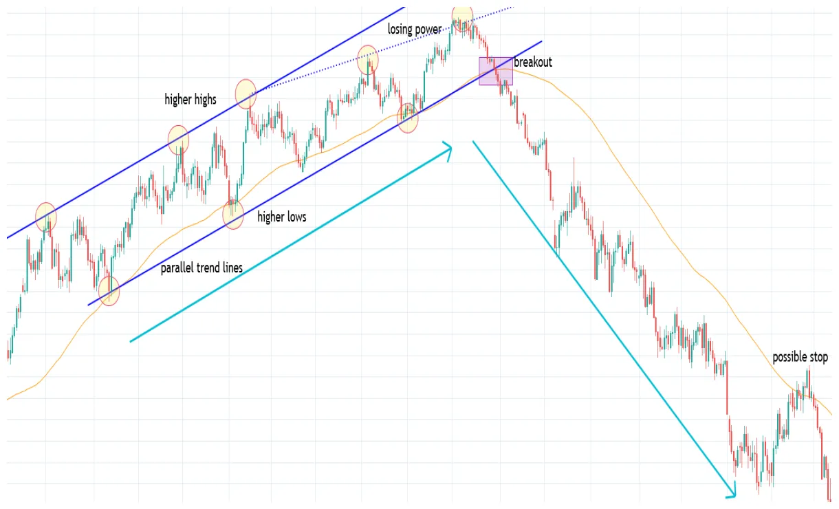 Near protocol near historical performance graph week 1 january 2026