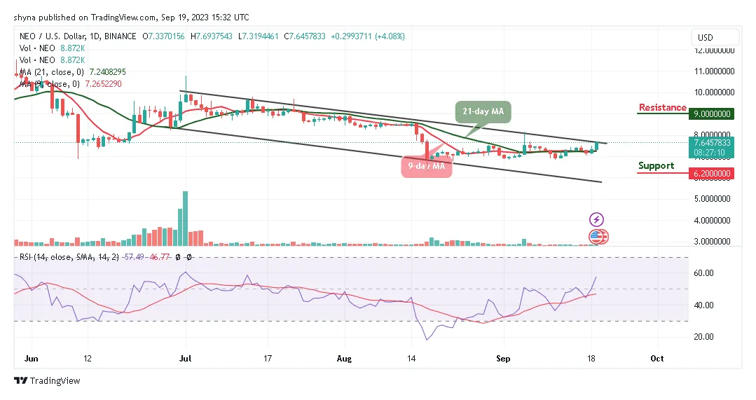Neo neo market trend analysis week 5 december 2025