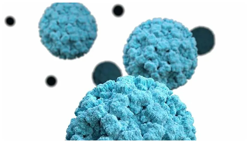 New norovirus strain is stoking the stomach flu surge