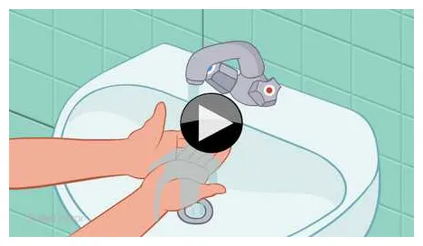 Kreuzfahrtalarm neue norovirus-variante breitet sich aus! netdoktor