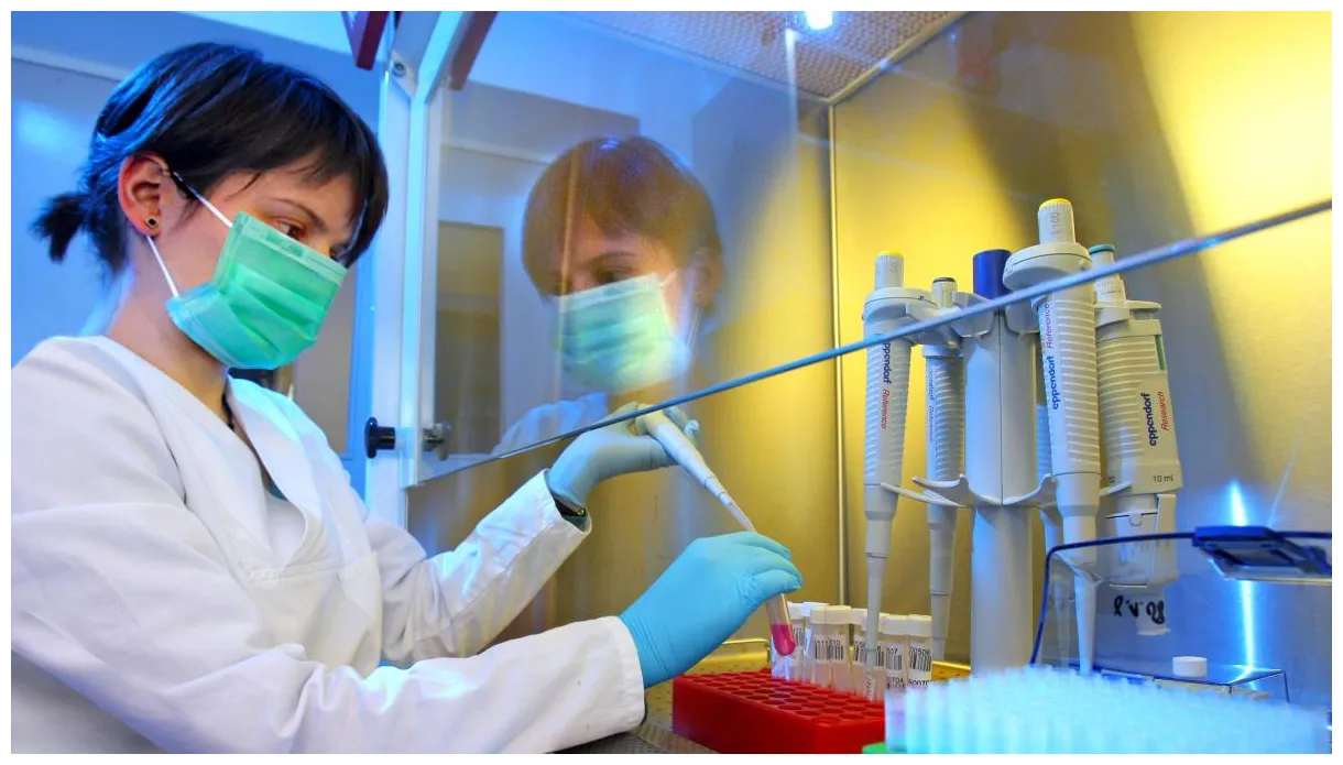 Norovirus neue variante wird das norovirus jetzt noch gefährlicher?