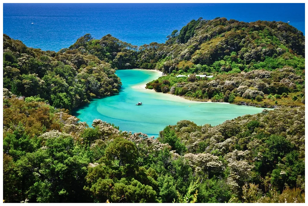 All week [ended] david's giveaway series #01 up blufans collector's