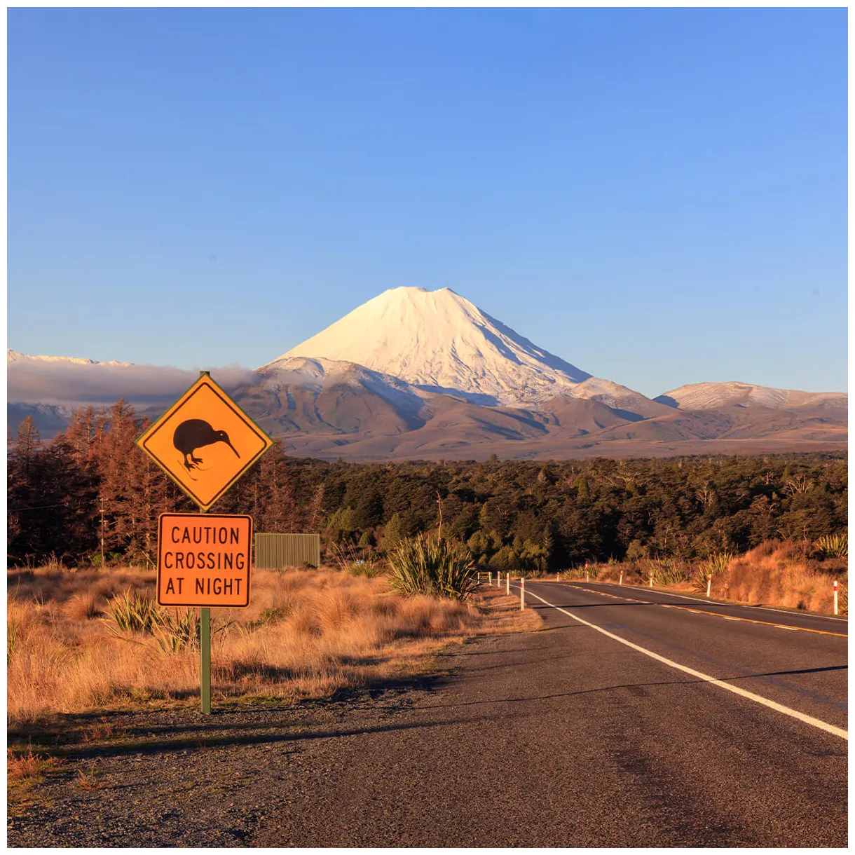 Travel and more reiseagentur