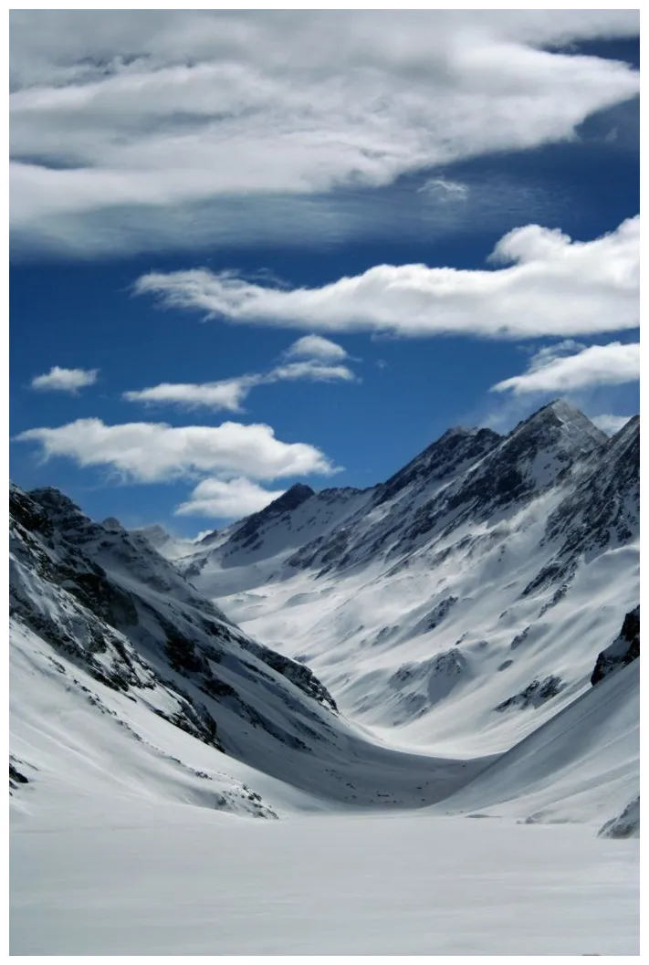 Free download free s