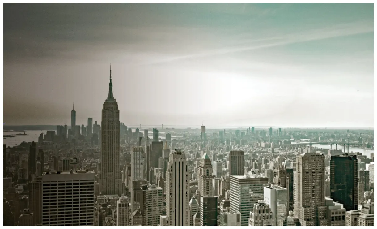 Replay et vidéos en streaming tf1