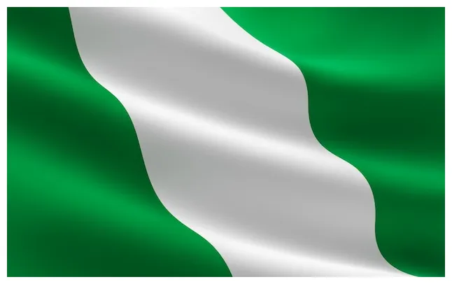 Premium flag of . illustration of the n flag waving