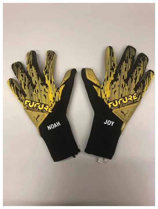 2 hand signed match worn goalkeeper gloves catawiki
