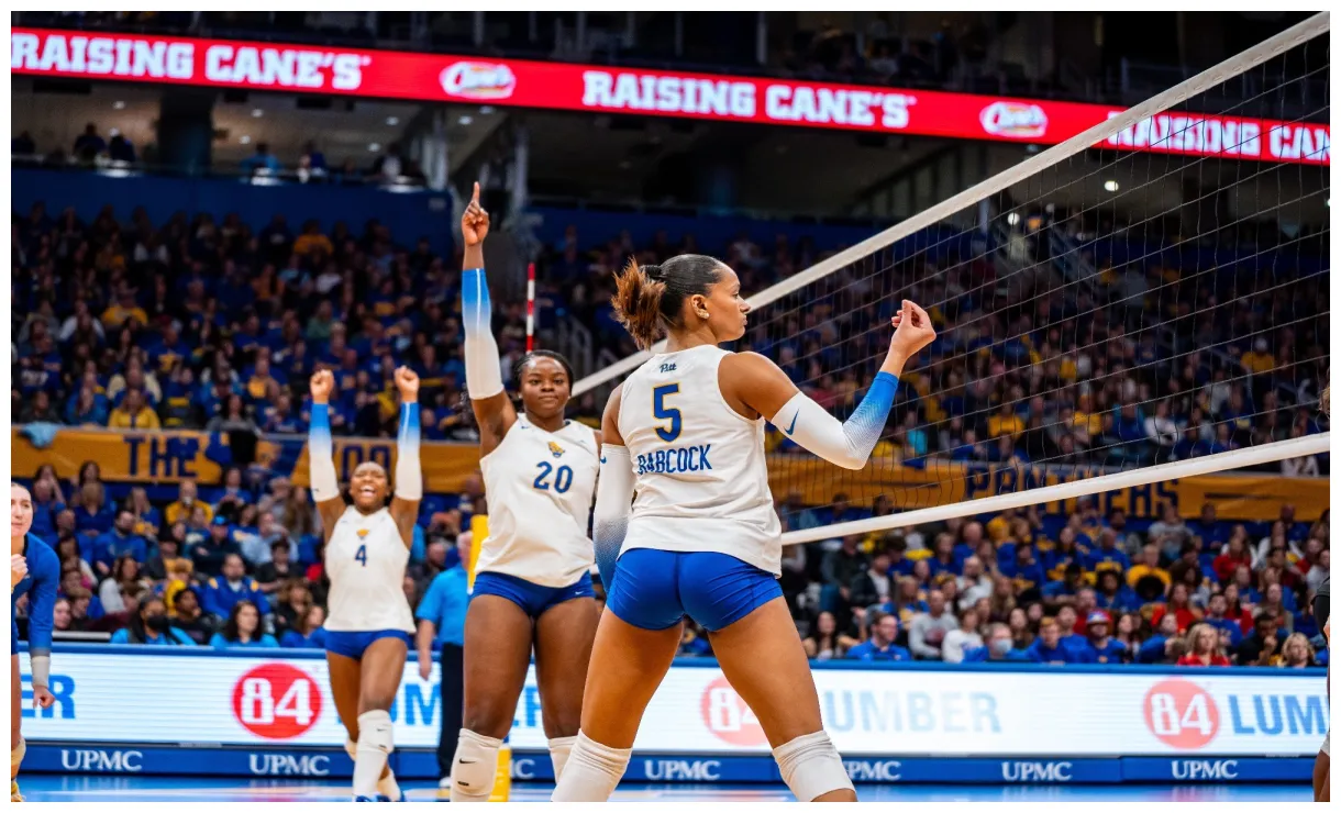 Women's volleyball pitt panthers #h2p