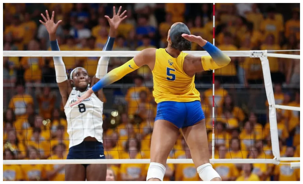 Pitt vb star earns national player of the week