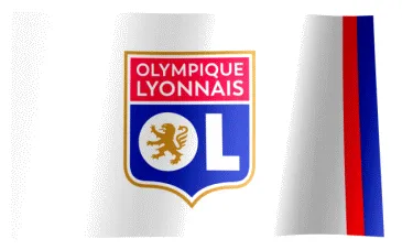 Fan flag gif all waving flags