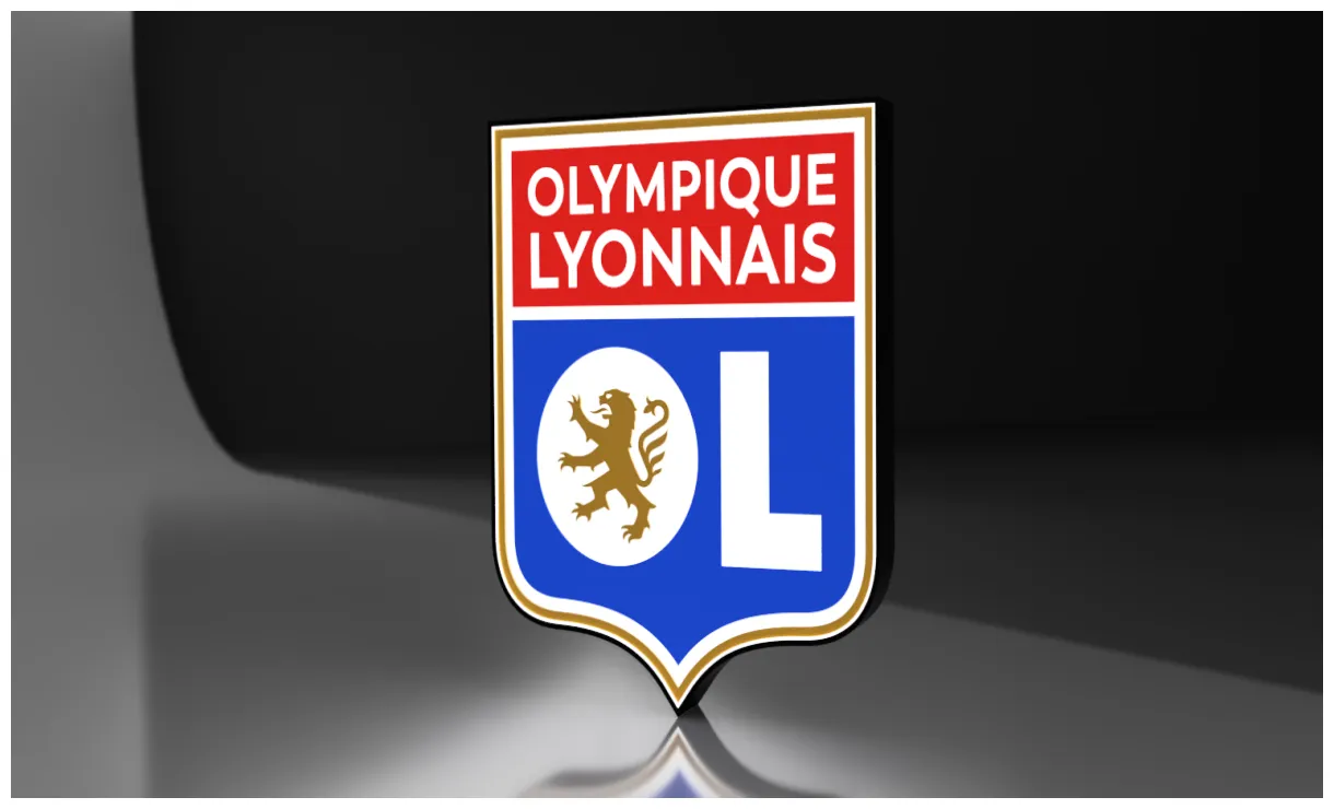 Stl file lampe olympique lyonais 🔦 ・3d printer model to download・cults