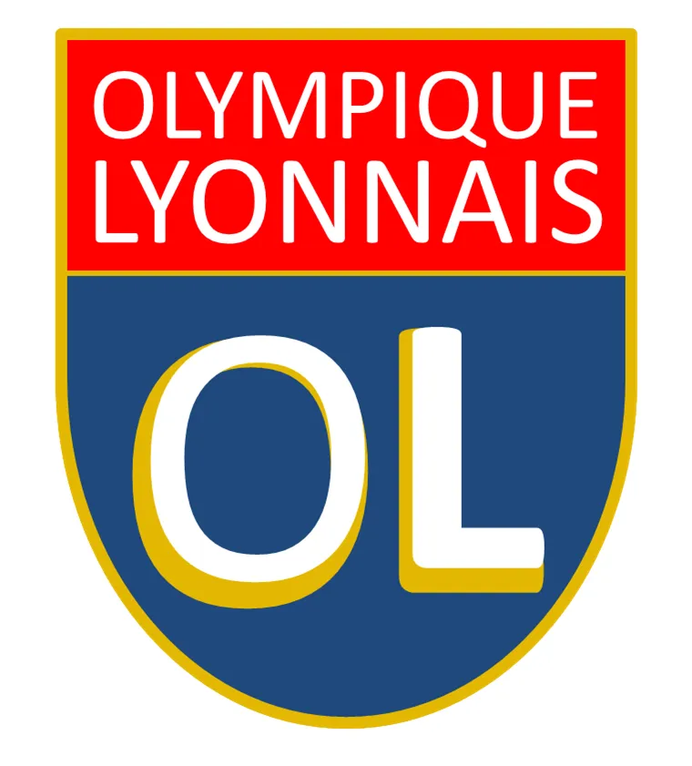 Old football shirts / official soccer jerseys