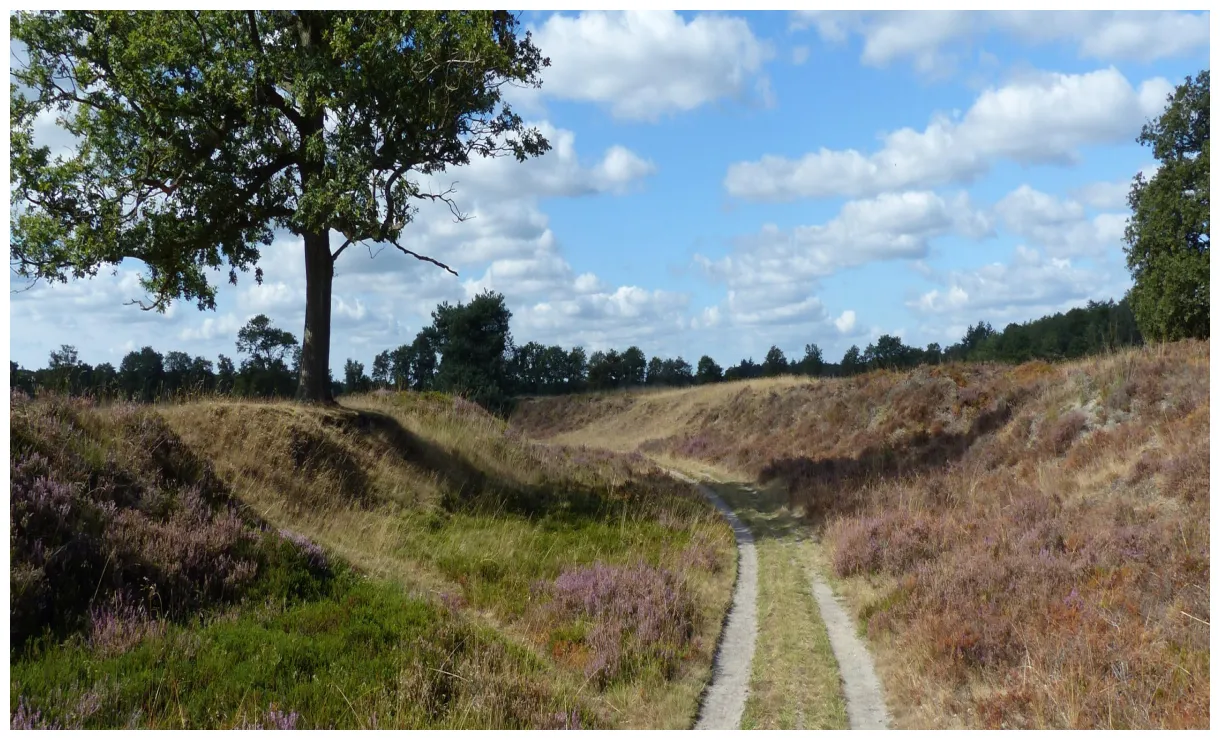 Erfgoed van gemeente