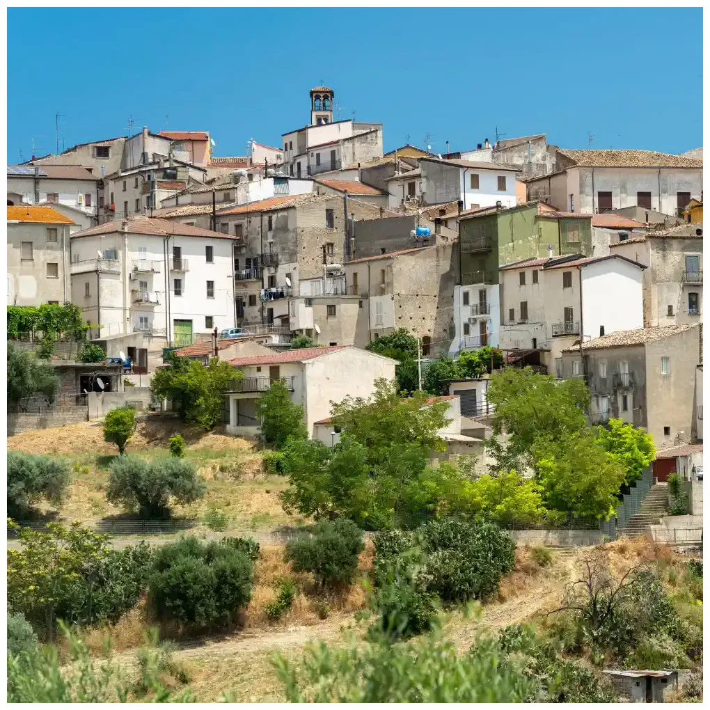 Trains to from $ 11.55