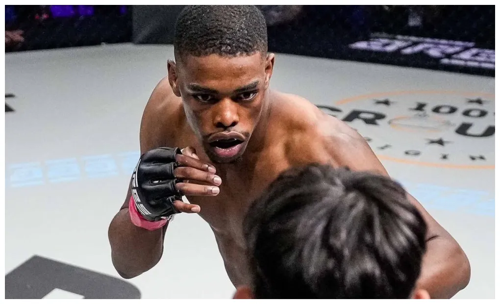 Palmares combattant wiki mma boxemag