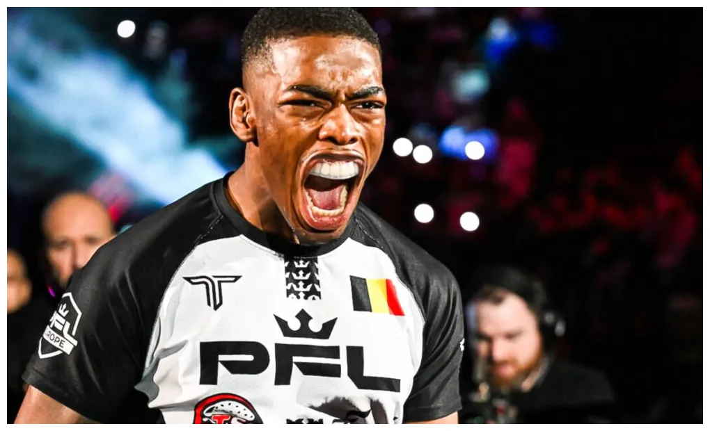 Palmares combattant wiki mma boxemag