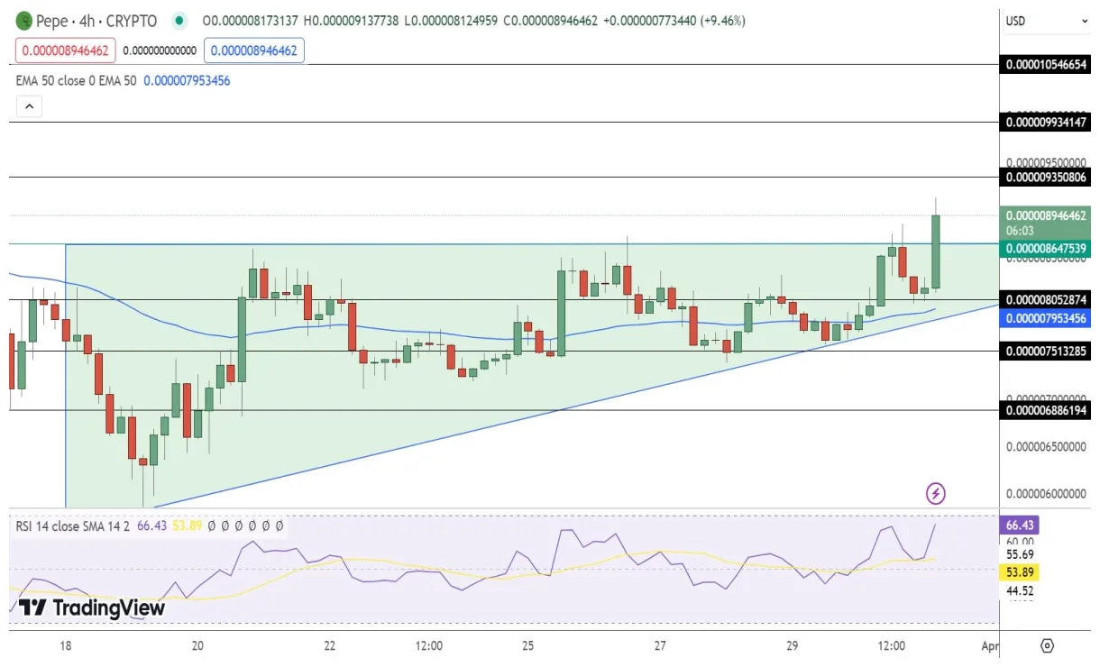 Pepe pepe daily price chart week 2 january 2026