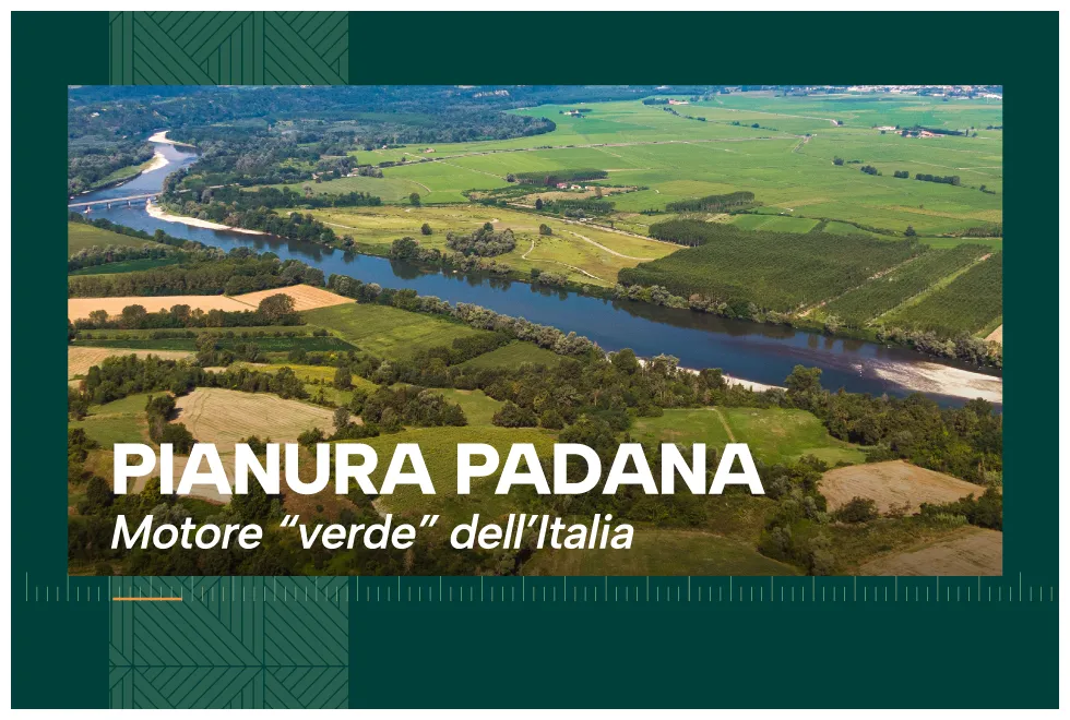 Dove cresce la soia in italia