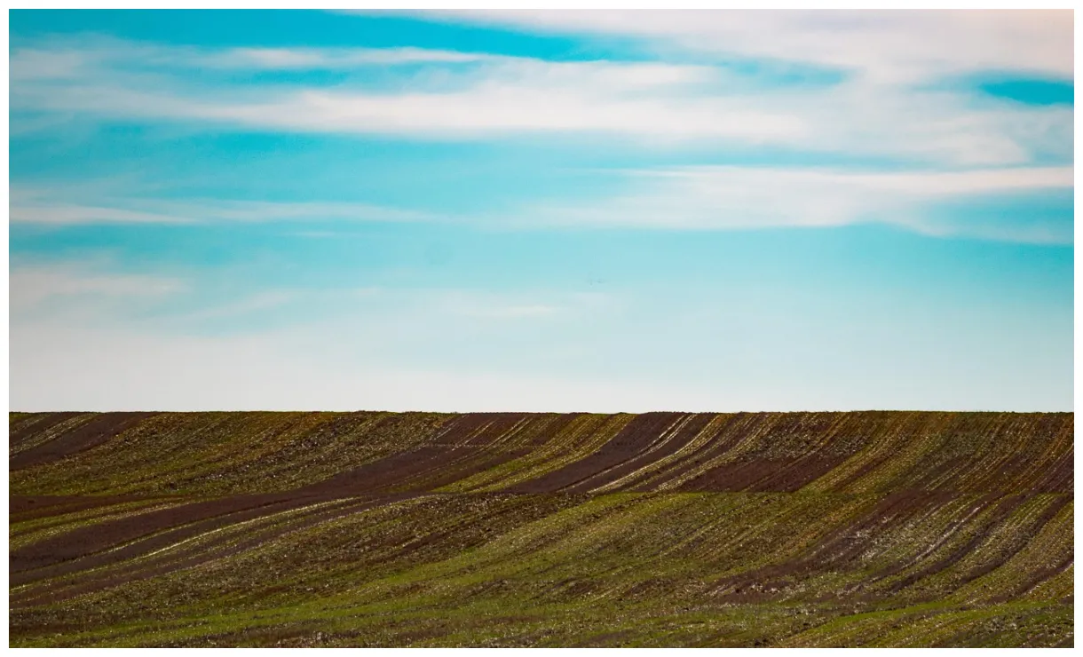 1.000 + e pianura immagini gratis pixabay