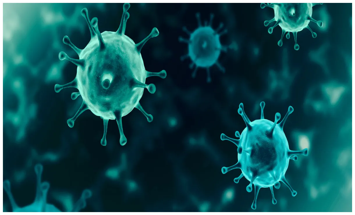 Pierre ouzoulias europe