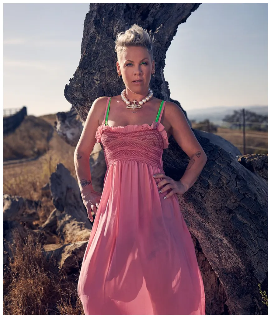 Pink on her death-defying stadium tour and emotional 'trustfall' album