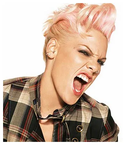 Pink biography, birth date, birth place and pictures