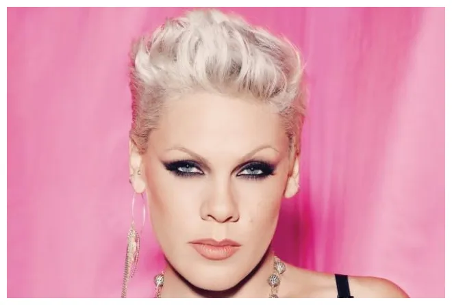 Pink biography. pop star