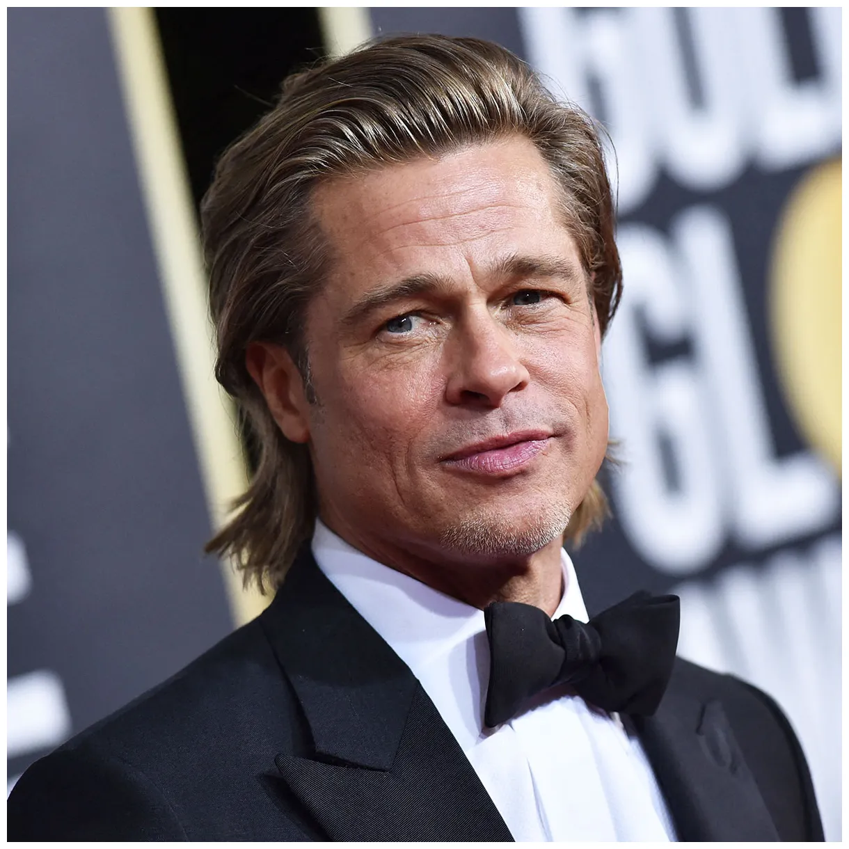 Brad pitt transformation