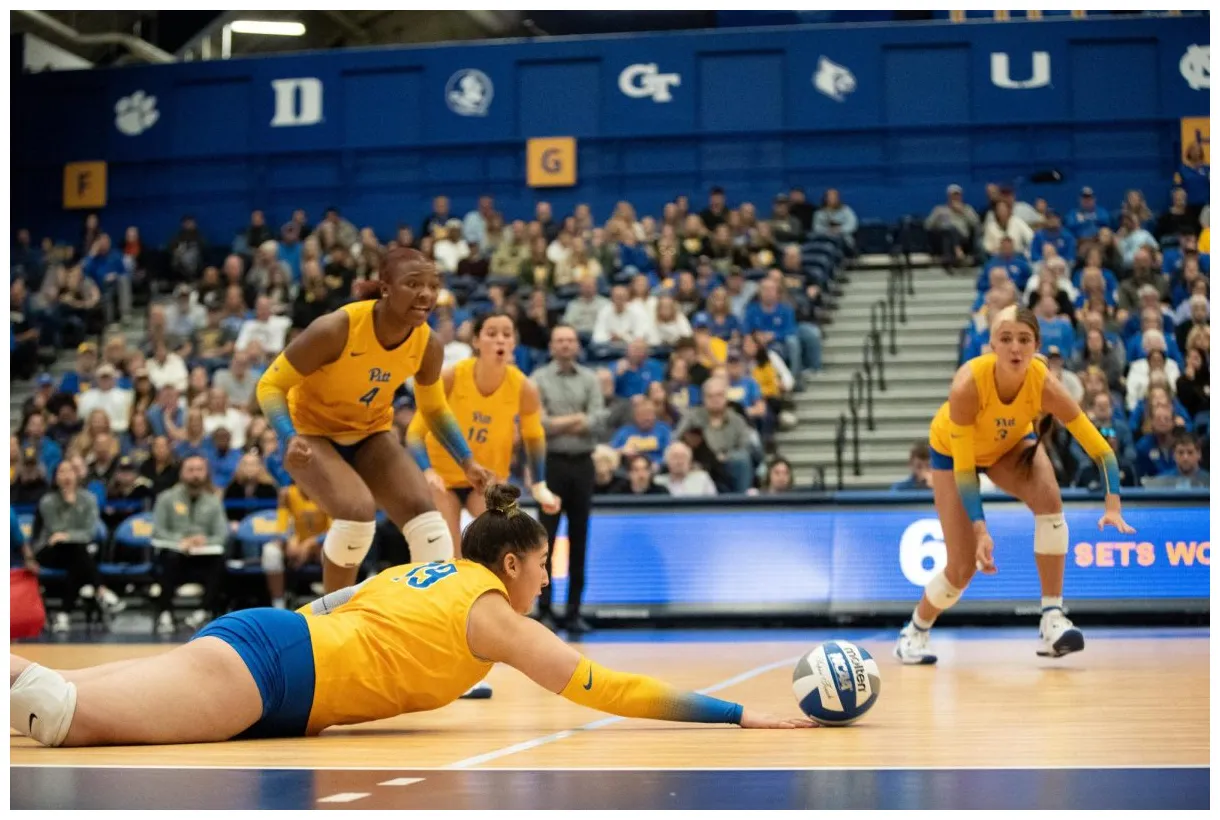 Depth is key for No. 1 Pitt volleyball - The Pitt News