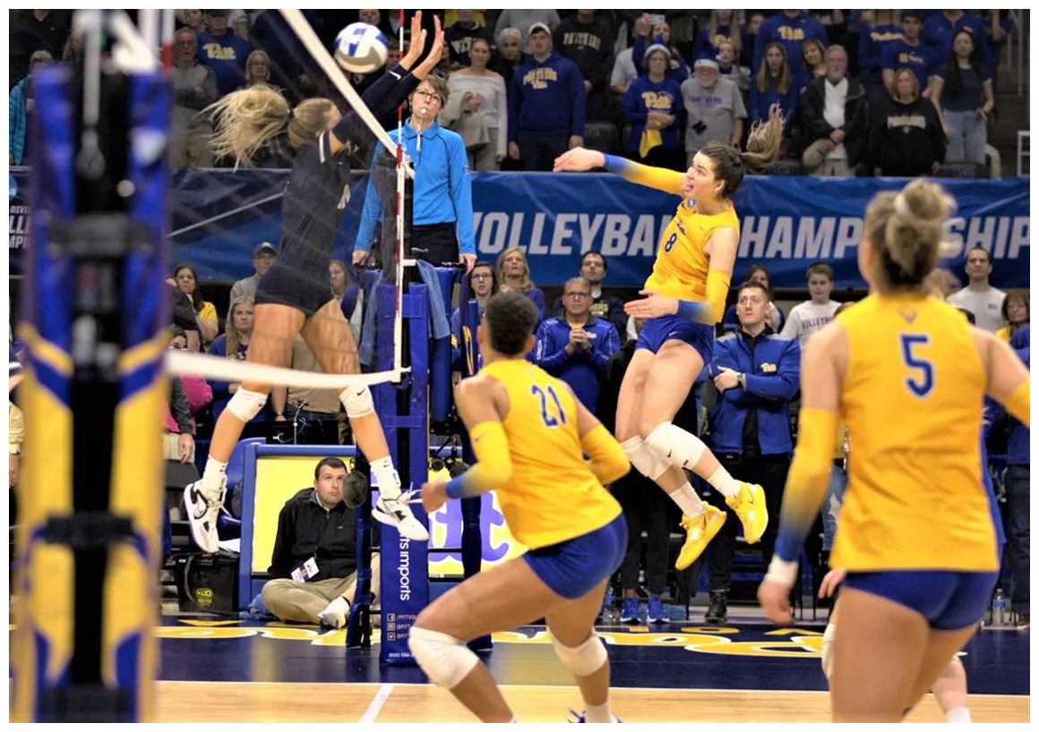Pitt volleyball sweeps BYU to advance to Sweet 16 in NCAA tournament