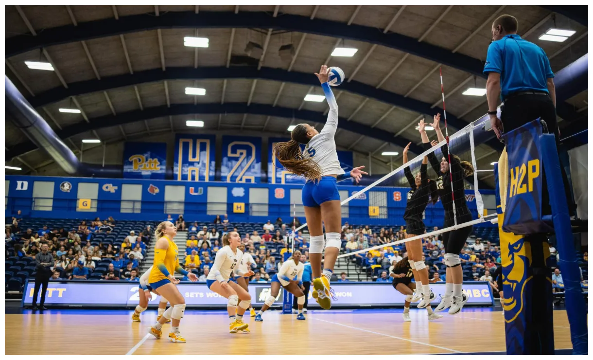 Takeaways | Pitt volleyball off to a hot start to 2023 campaign - The