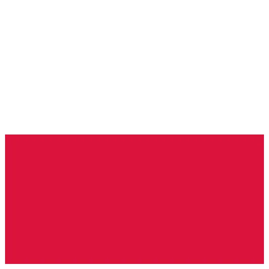 Icon and logo flag icons