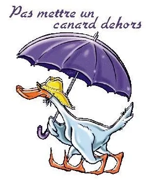 Les 42 meilleures s de la pluie pluie, humour pluie, humour