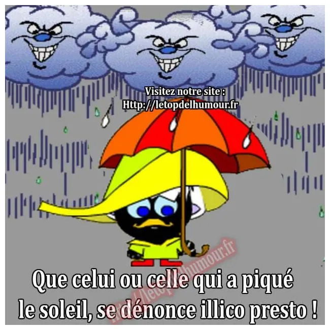 34 meilleures idées sur humour pluie humour pluie, pluie, humour