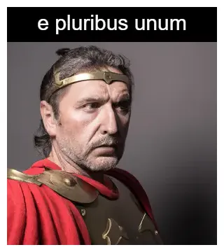 What does the latin term "e unum" mean?