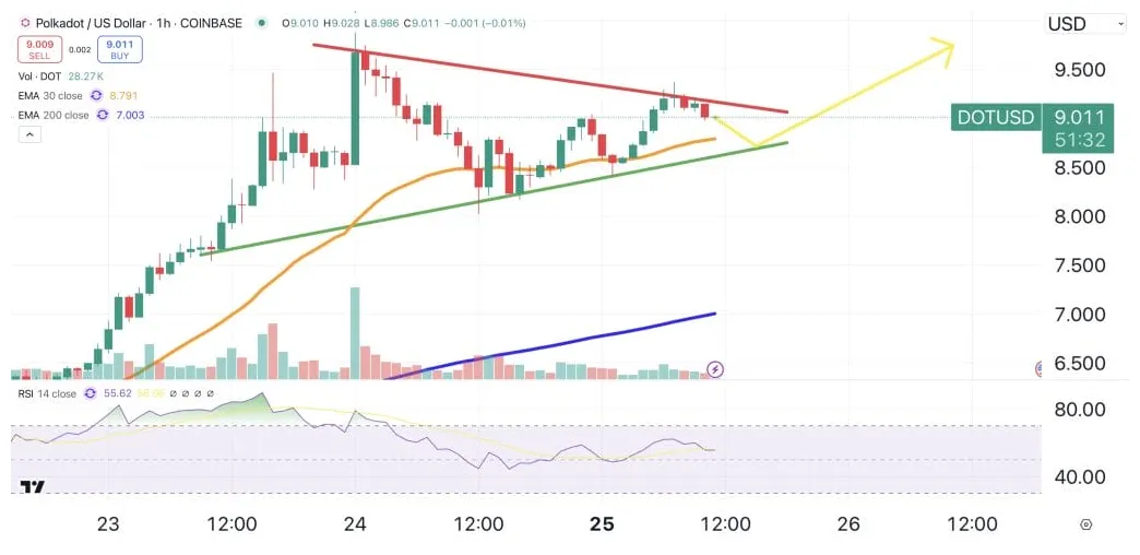 Polkadot dot market trend analysis week 1 january 2026