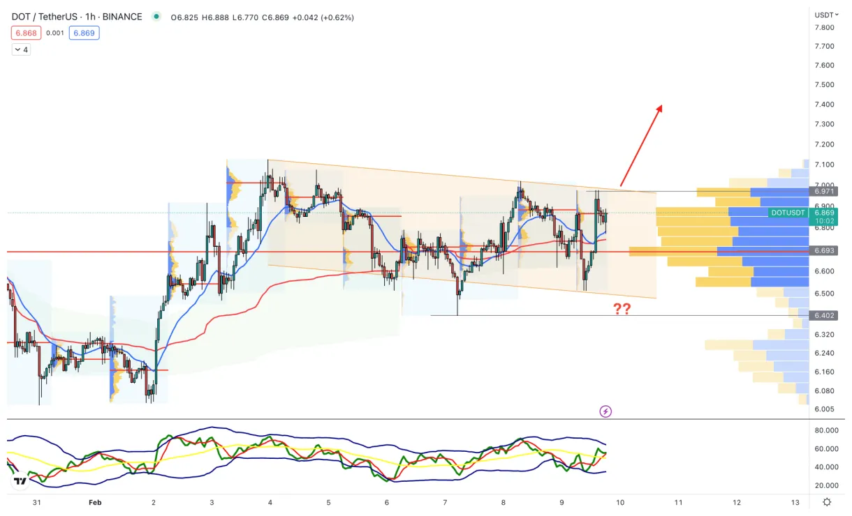 Polkadot dot trading volume indicators week 1 january 2026