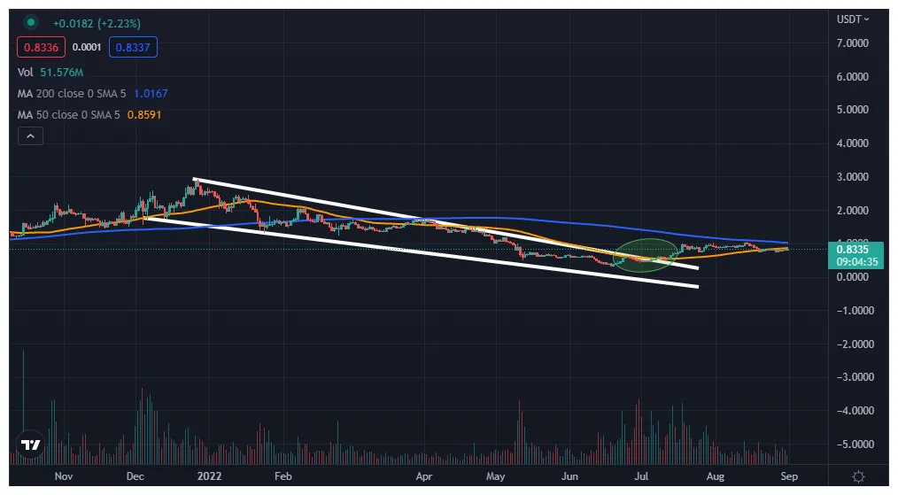 Polygon matic trading volume indicators week 1 january 2026