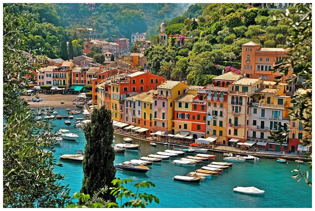 Pictures gallery of high-quality collection